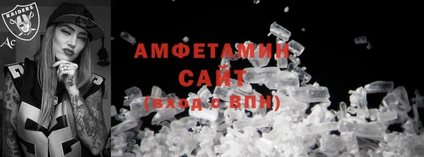 шишки Коряжма