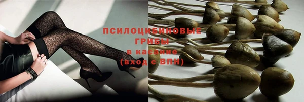 прущие крисы Козловка