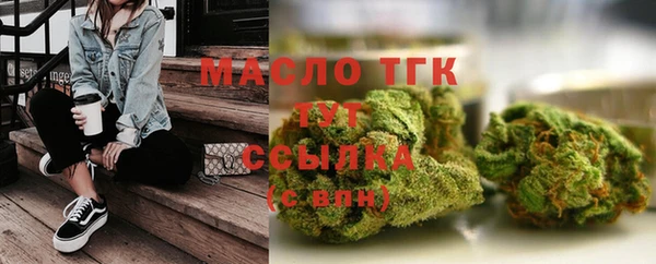 гидра Корсаков